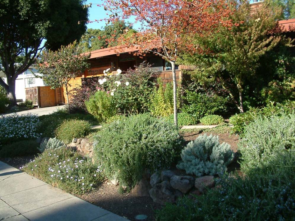 Front Yard Xeriscape