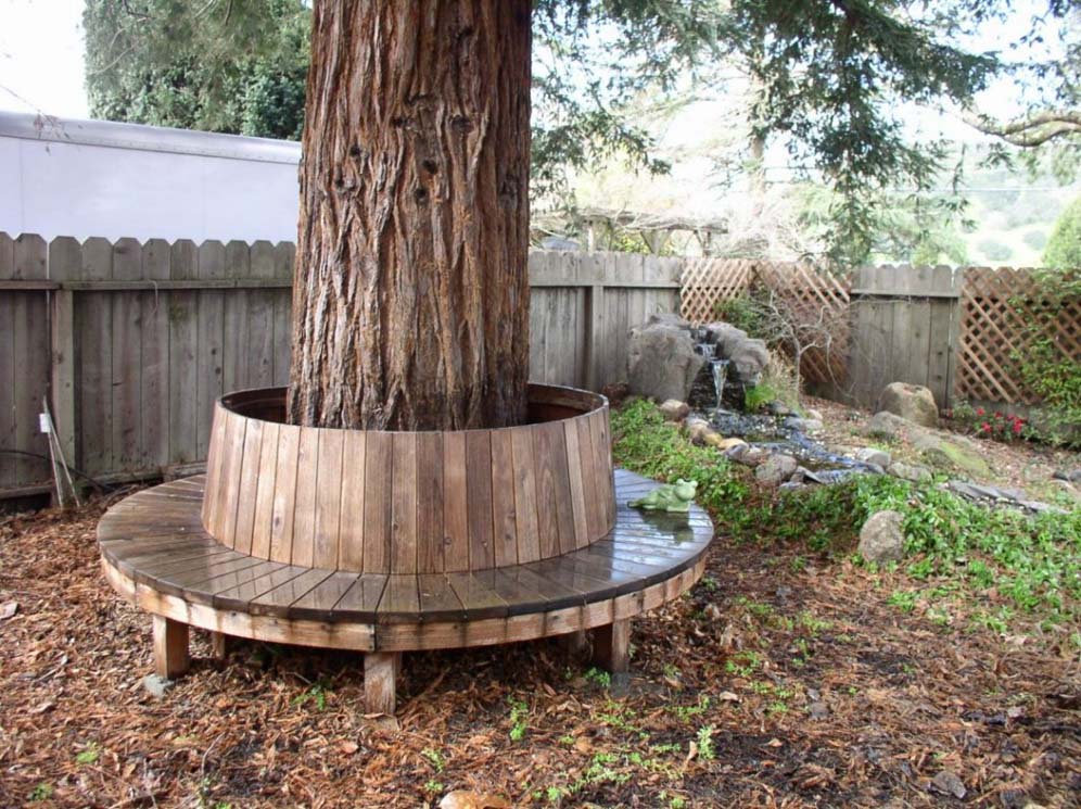 Circular Tree Bench