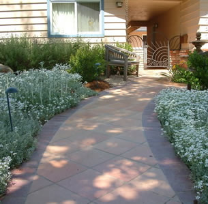 Cool Comfort Garden