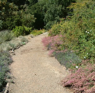Univ of California Botanical Gardens Berkeley