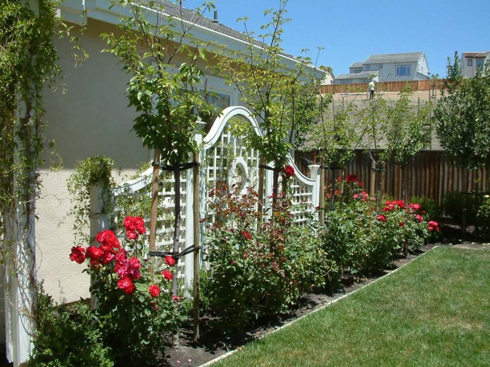 Formal Curved Trellis