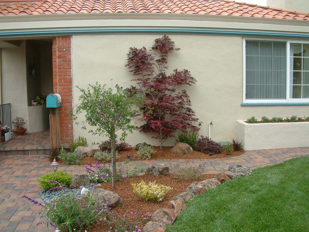 Corner Pocket Garden
