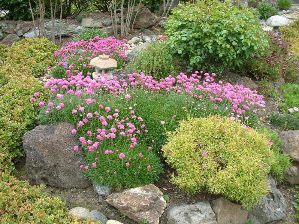 Vibrant Sanctuary