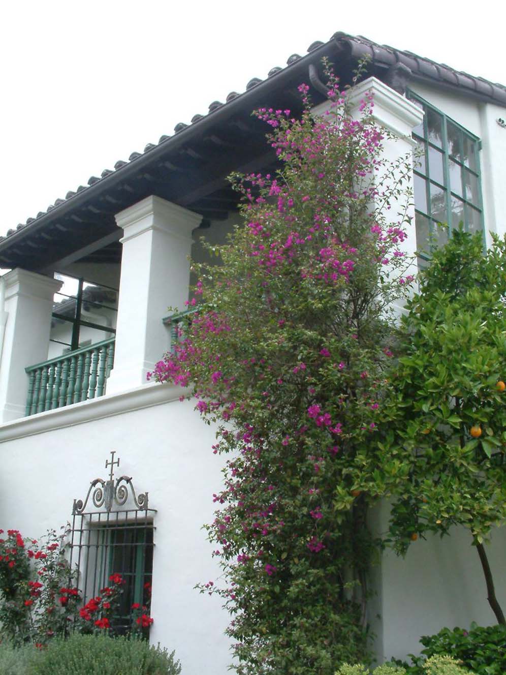 Med Garden Bouganvillea Vine Display