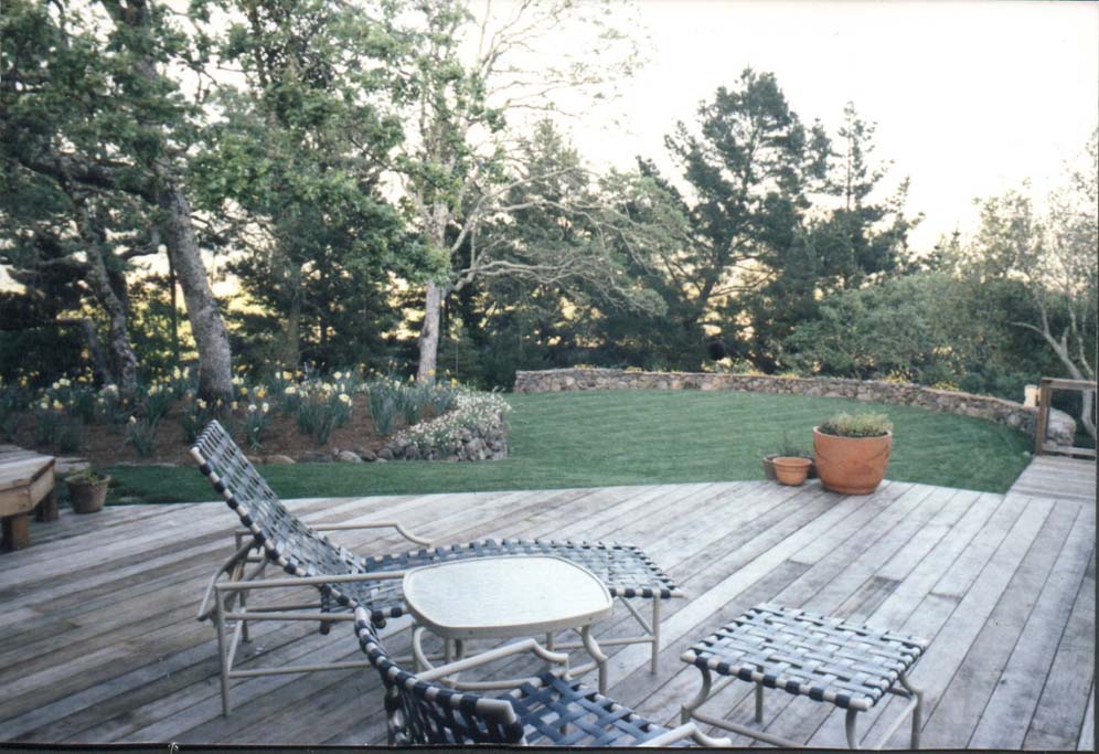 Deck and Backyard