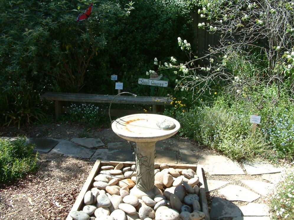 Bird Bath in Garden