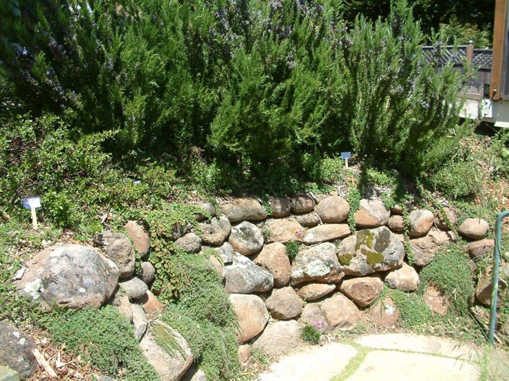 Natural Stone Wall