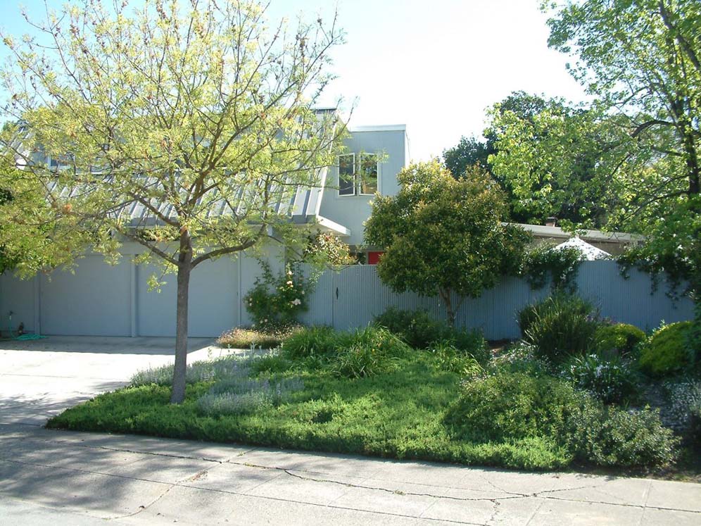 Garden Next to Driveway