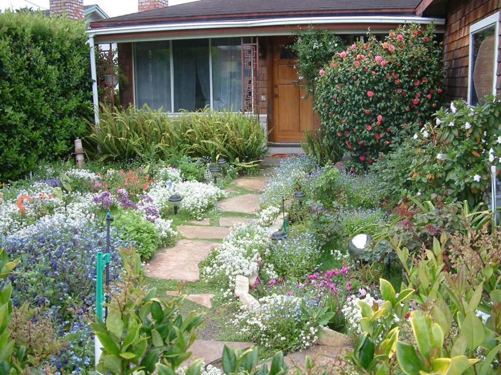 Colorful Garden