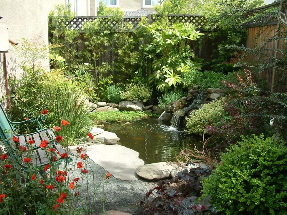 Serene Pond and Garden