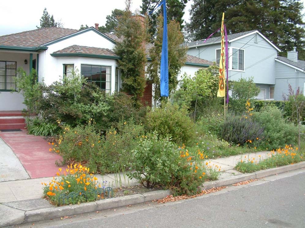 Urban Garden