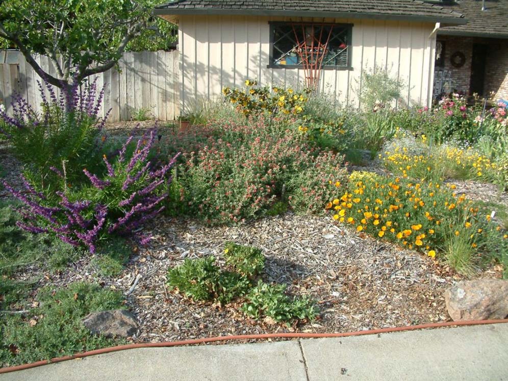 Spring Garden