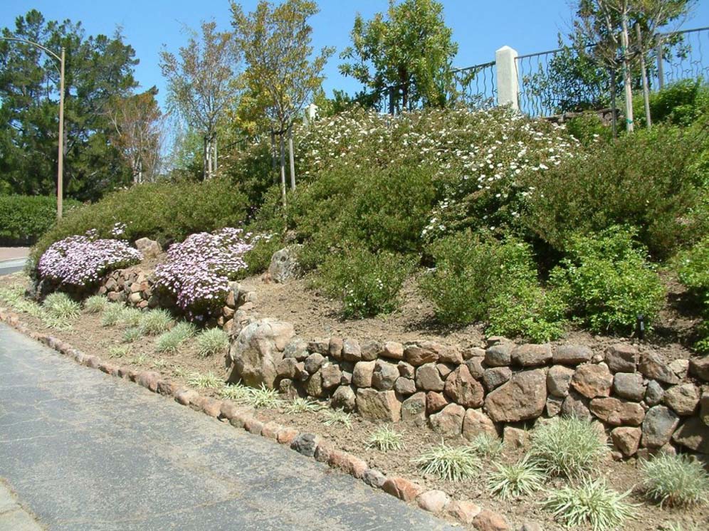 Rock Retaining Wall