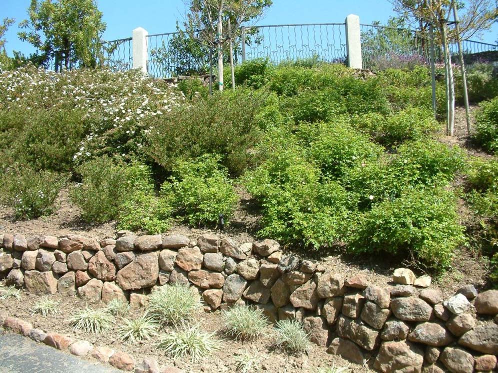 Rock Retaining Hillside