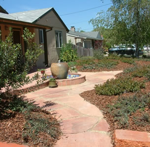 Low Maintenance Gardens